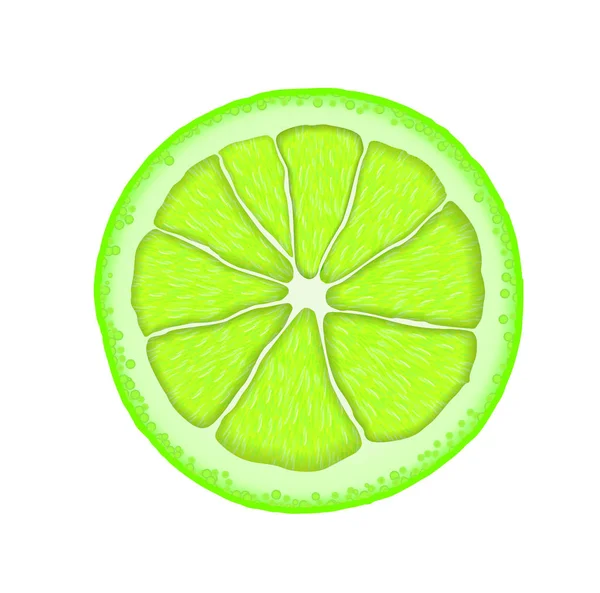 Coupe de citron vert réaliste vectorielle. Illustration des agrumes — Image vectorielle