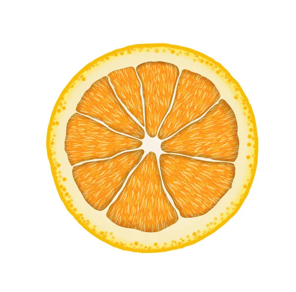 Coupe d'orange réaliste vectorielle. Illustration des agrumes — Image vectorielle