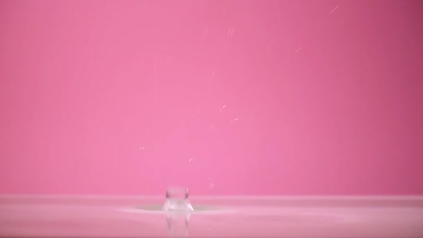 Wassertropfen Auf Rosa Hintergrund — Stockvideo