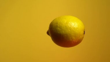 Limon. Havada yüzen ve dikey eksen etrafında dönen bir limon meyvesinin videosu.