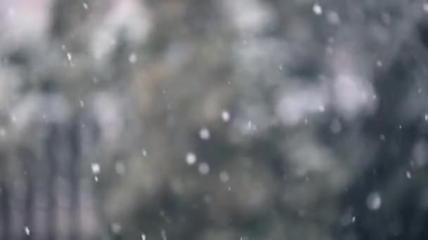 Gros flocons de neige tombent doucement oscillant dans la brise d'hiver 