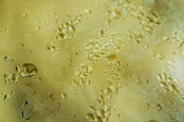 Gıda Buhar ve damla yakından görmek. Somon fileto yemek. Somon fileto yemek. Pan bir cam kapak ile örtülü