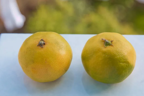 Zwei Saft-Orangen isoliert auf grünem Hintergrund. Mandarine isoliert auf grünem Hintergrund. Ansicht der Mandarine von oben — Stockfoto