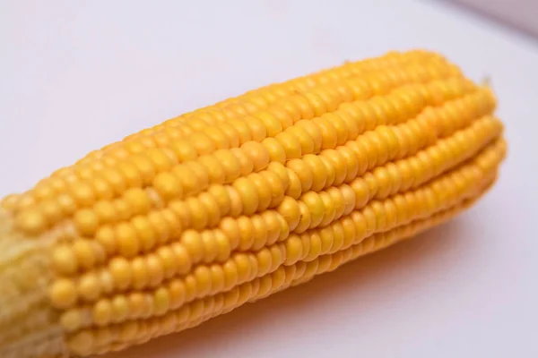 Ripe corn on a white background . Sweet corn is delicious and ready to eat. Vegetables are beneficial to the body, have vitamins and delicious taste. on white background — Stock Photo, Image