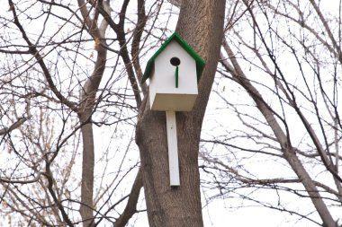 Kuş yuvası veya kuş evi. Garden.bird evi ile bokeh açık renkli ahşap model evde. Küçük sincap ev insan tarafından inşa. Küçük hayat kavramı iyi davran.