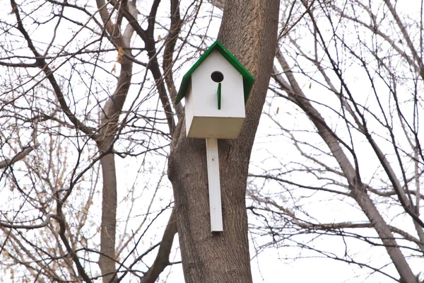 Madárfészek illetve madár házat. Fából készült modell ház garden.bird ház bokeh világos háttér. A kis mókus ház mellett emberi. Kedves kis élet fogalma. — Stock Fotó