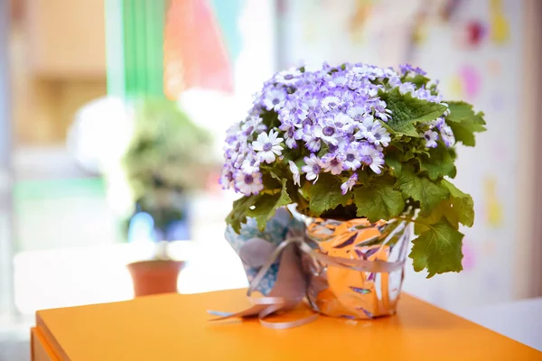 Flor de fita roxa. Belo buquê de flores azuis em um pequeno vaso. Flores roxas violetas e brancas no fundo de foco seletivo . — Fotografia de Stock