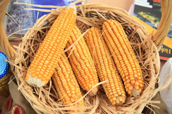 Fresh corn in basket . Fresh corn on the cob in wicker basket on brown wooden table. Untreated corn cobs . — Stock Photo, Image