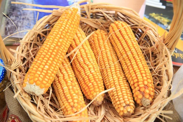 Fresh corn in basket . Fresh corn on the cob in wicker basket on brown wooden table. Untreated corn cobs . — Stock Photo, Image