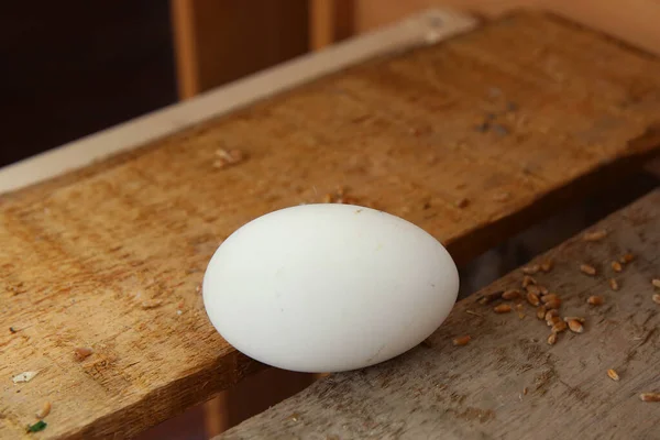 White egg lay on the wooden table, Soft focus. Close-up White egg lay on the wooden table.One raw white egg laying on a wooden cutting board .
