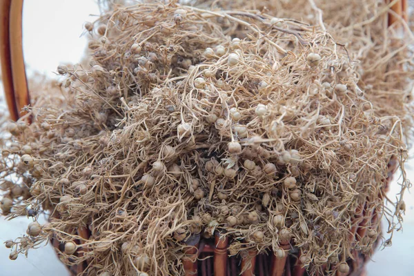 Peganum harmala bitkisi, şifalı bitkiler, bitkiler, tıbbi bitkiler. Kurutulmuş Harmal sepette sergileniyor. Kurumuş Peganum harmalası evlerde ya da araçlarda asılı. .