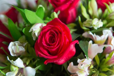 Kırmızı çiçek resmi buketin içinde. Çiçeğin taç yaprağı. Taze kırmızı, beyaz, turuncu güller. Bir buket çok renkli gül. .