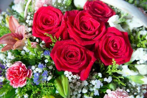 Cuadro de flores rojas de cerca en el ramo. El pétalo de la flor. Ramo de rosas rojas, blancas y naranjas frescas. ramo de rosas multicolores  . — Foto de Stock