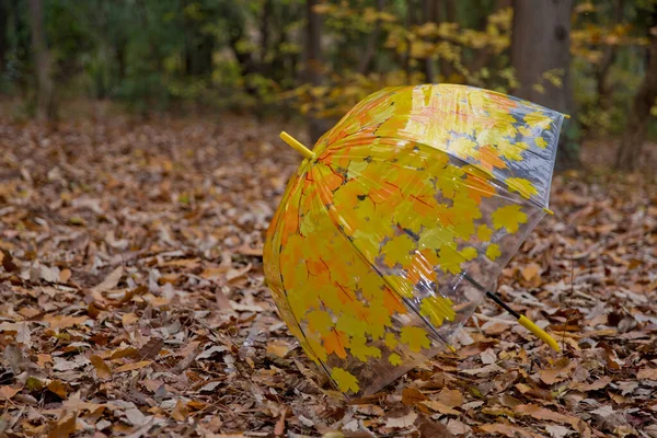 Fondo de coloridas hojas de otoño en el suelo del bosque. Hojas abstractas de otoño en otoño adecuadas como fondo. El otoño se va en un prado. Hojas amarillas en el suelo  . —  Fotos de Stock