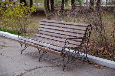 Bahçenin gölgeli bir yerinde ya da parkın dışındaki boş bir bankta. Etrafı yeşilliklerle çevrili gölgeli ahşap banklar. Boş Park ahşap tezgah yakın çekim görüntüsü. Ahşap dış malzeme. Ahşap malzeme detayları.