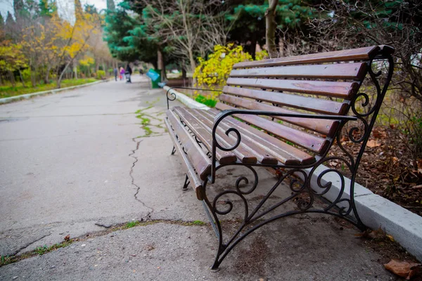 Blank Stara ławka w zacienionym obszarze ogrodu lub parku, na świeżym powietrzu. Cienista drewniana ławka otoczona zielenią. Pusty Park drewniana ławka Widok z bliska. Drewniane materiały zewnętrzne. Szczegóły dotyczące drewna. — Zdjęcie stockowe