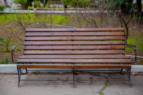 Blank Stara ławka w zacienionym obszarze ogrodu lub parku, na świeżym powietrzu. Cienista drewniana ławka otoczona zielenią. Pusty Park drewniana ławka Widok z bliska. Drewniane materiały zewnętrzne. Szczegóły dotyczące drewna. — Zdjęcie stockowe