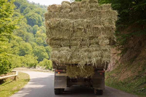 Après la récolte. Au début de l'automne. Le camion transporte du foin. transporteur de foin sur la route interurbaine. Le camion transporte des rouleaux de foin sur le fond de la forêt et des montagnes . — Photo