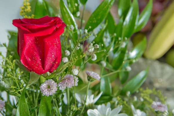 Immagine di fiori rossi da vicino nel bouquet. Il petalo del fiore. Bouquet di rose rosse fresche. bouquet di rose rosse  . — Foto Stock