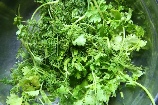 Green leaves of the annual Anethum graveolens, used as herb and spice. Macro food photo close up . Fresh coriander in plate.Fresh dill and coriander fronds in wooden bowl, also called dill weed. — Stock Photo, Image