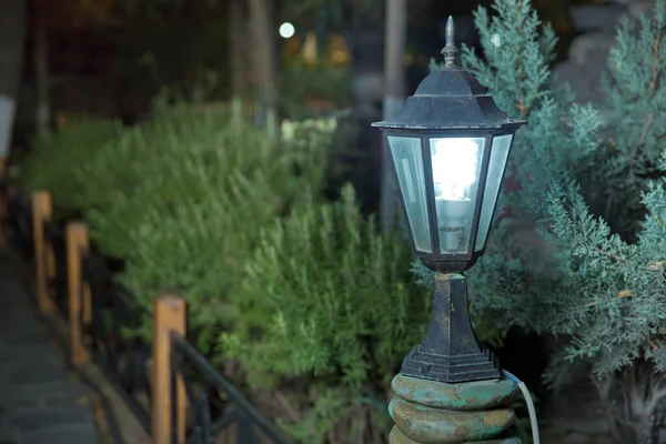 The backdrop is Bush that little light. Magic street lamp close-up with copyspace. Warm lantern light on a blurry background .A little street light lit in the garden at night . Lanterns in the garden. — Stock Photo, Image