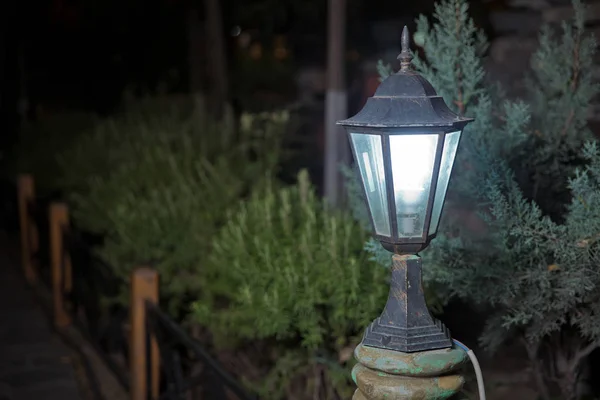 El telón de fondo es Bush esa pequeña luz. Lámpara de calle mágica primer plano con copyspace. Luz cálida de la linterna sobre un fondo borroso. Una pequeña luz de calle iluminada en el jardín por la noche. Linternas en el jardín . — Foto de Stock