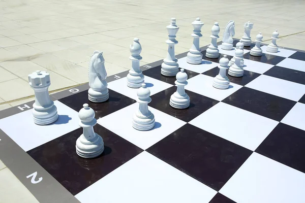 Texture, background. Background. BIG chess in the park. Large chess game on ground in the park . Big Chess Pieces Playing Game on the Floor . Giant chess on the board located on the ground . — Stockfoto