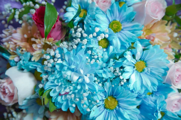 Bouquet de marguerite bleue ou camomille. Camomille fleur tête fermer. Concentre-toi. Un bouquet de camomille sauvage bleue. Camomille bleue  . — Photo