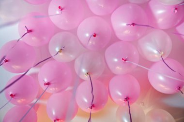 Wedding or children birthday party decoration interior . Helium balloons . Pink and white balloons float on the white ceiling in the room for the party.