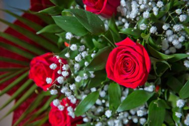 bouquet of red roses . Red flower picture close up in the bouquet. The flower's petal . Bouquet of fresh red roses .