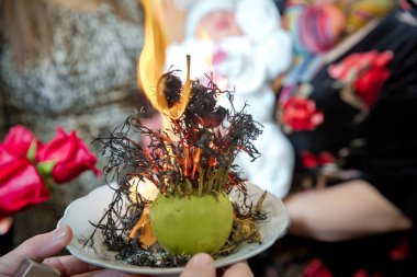 Bitki tütsüsü iyi şans için sigara içer. Sihirli Uzerlik bitkisi. Yanmak kötü görünmeyi önler. Peganum harmalası.