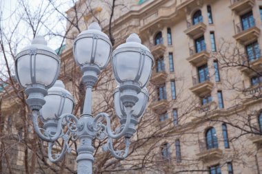 Bahçedeki beyaz fenerler. Arkaplan Bush 'un küçük ışığı. Kopyalama alanı olan sihirli sokak lambası. Arka planda sıcak bir fener ışığı. Bahçede küçük bir sokak lambası. .