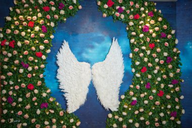 Meleklerin kanatları. Beyaz kanatlar. Sarı kırmızı çiçekler mavi arkaplanda..