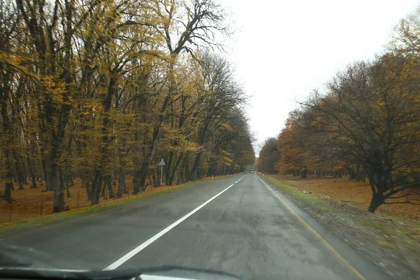 Blick Auf Die Straße Aus Dem Auto Heraus Herbstzeit Schuss — Stockfoto