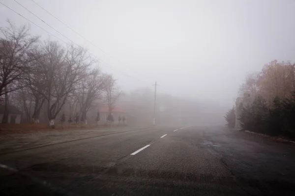 Asfaltová Cesta Která Vede Mlhavým Temným Tajemným Lesem Temný Podzimní — Stock fotografie