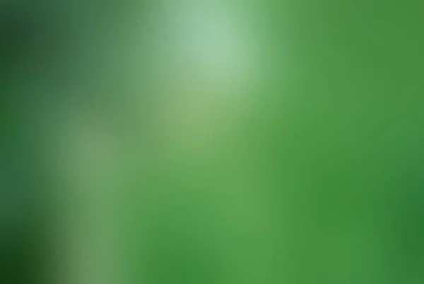 Зеленый Размытый Фон Солнечный Свет Зеленый Фон Фона — стоковое фото