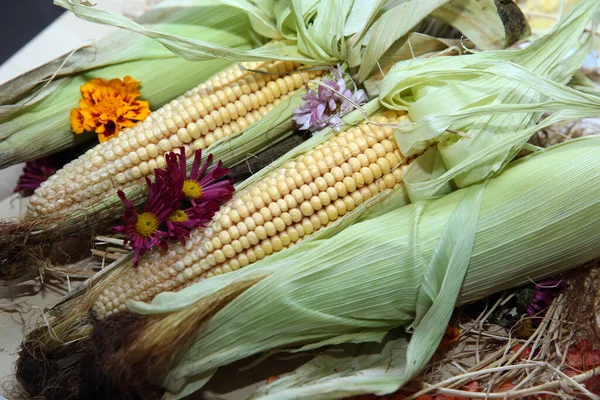 Fresh Corn Wooden Table Ripe Corn Wooden Background Grains Ripe — Stock Photo, Image