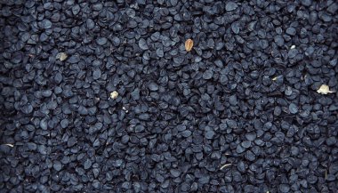 Beyaz arka planda siyah soğan tohumu. Beyaz arkaplanda siyah soğan tohumu.