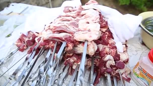 Mužské Ruce Otáčející Špejlemi Shish Kebab Vepřové Nebo Jehněčí Maso — Stock video