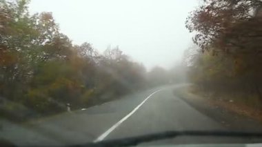 Sonbahar sezonu gibi. Arabadan vurulmuş. Sonbahar sarı-turuncu yolunda araba süren bir adam. Bir ele yakın çekim