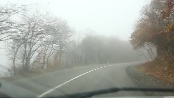 Outono Foi Baleado Carro Homem Dirigindo Carro Uma Estrada Amarelo — Vídeo de Stock