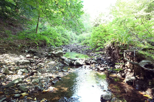 Ázerbájdžán Ismayilli Mountain River Lese Les Vodopádem Hluboký Deštný Prales — Stock fotografie