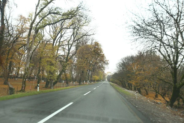 Vista Della Strada Dall Interno Della Macchina Stagione Autunnale Colpito — Foto Stock