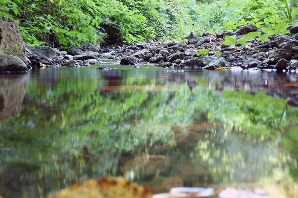 Azerbajdzjan Ismayilli Mountain River Skogen Skog Med Vattenfall Djup Regnskog — Stockfoto