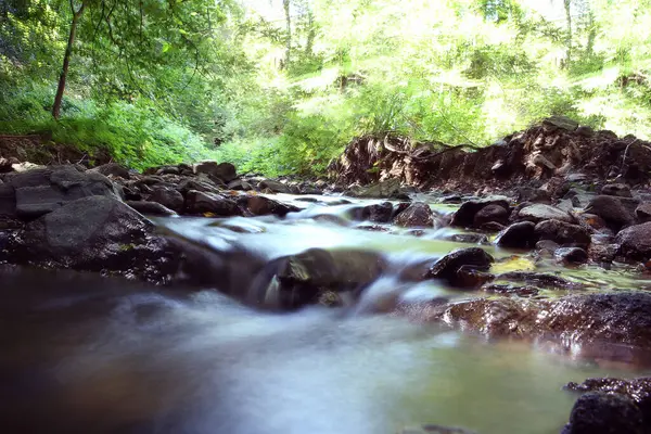 Azerbajdzjan Ismayilli Mountain River Skogen Skog Med Vattenfall Djup Regnskog — Stockfoto