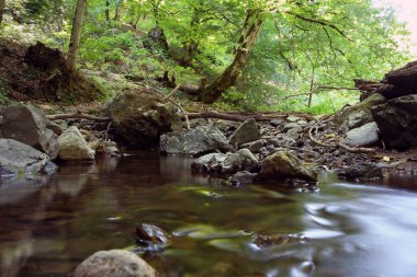Azerbaycan, Ismayilli. Ormandaki Dağ Nehri. Şelaleli, derin yağmur ormanı ve deresi olan bir orman. Yavaş kaplama hızında hızlı su jeti güzel bir peri masalı etkisi yaratıyor. Nehir taşları