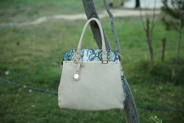 Women Gray Handbag Green Background Nature Bag Hung Tree Branch — Stock Photo, Image