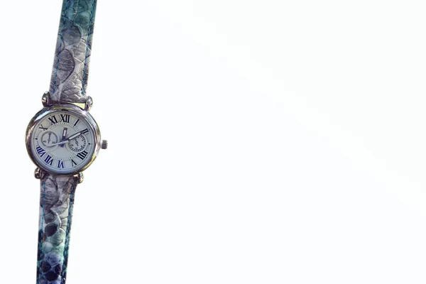Green Watch Fondo Blanco Reloj Verde Coloca Una Rama Árbol — Foto de Stock