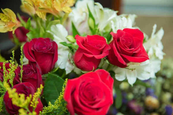 Rosas Rojas Florecientes Florecen Sobre Fondo Bokeh Hexágono Borroso Fondo — Foto de Stock