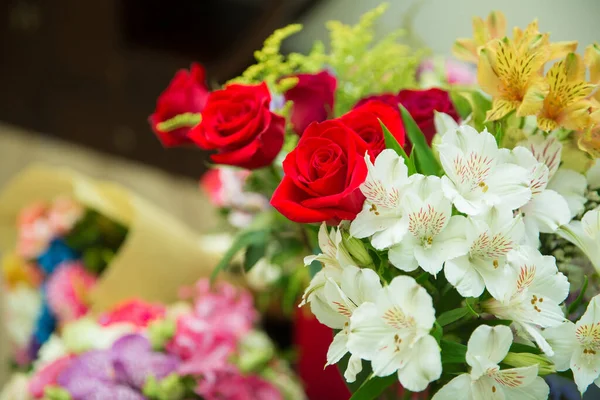 Rosas Rojas Florecientes Florecen Sobre Fondo Bokeh Hexágono Borroso Fondo — Foto de Stock